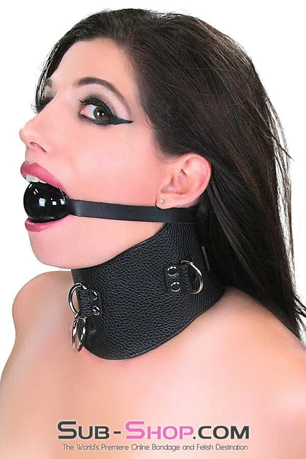 9764M      Conquered Slave Posture Collar