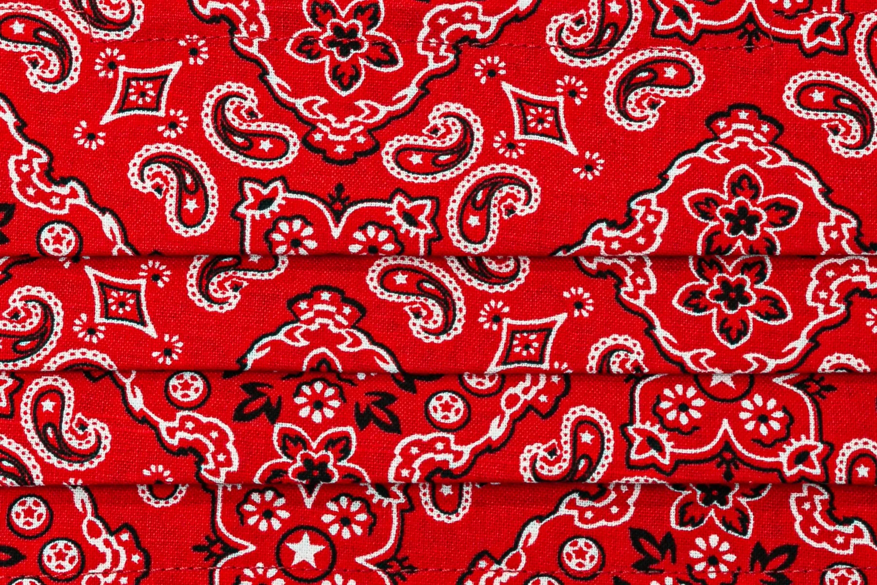 Bandana Style Cloth Face Masks (2)
