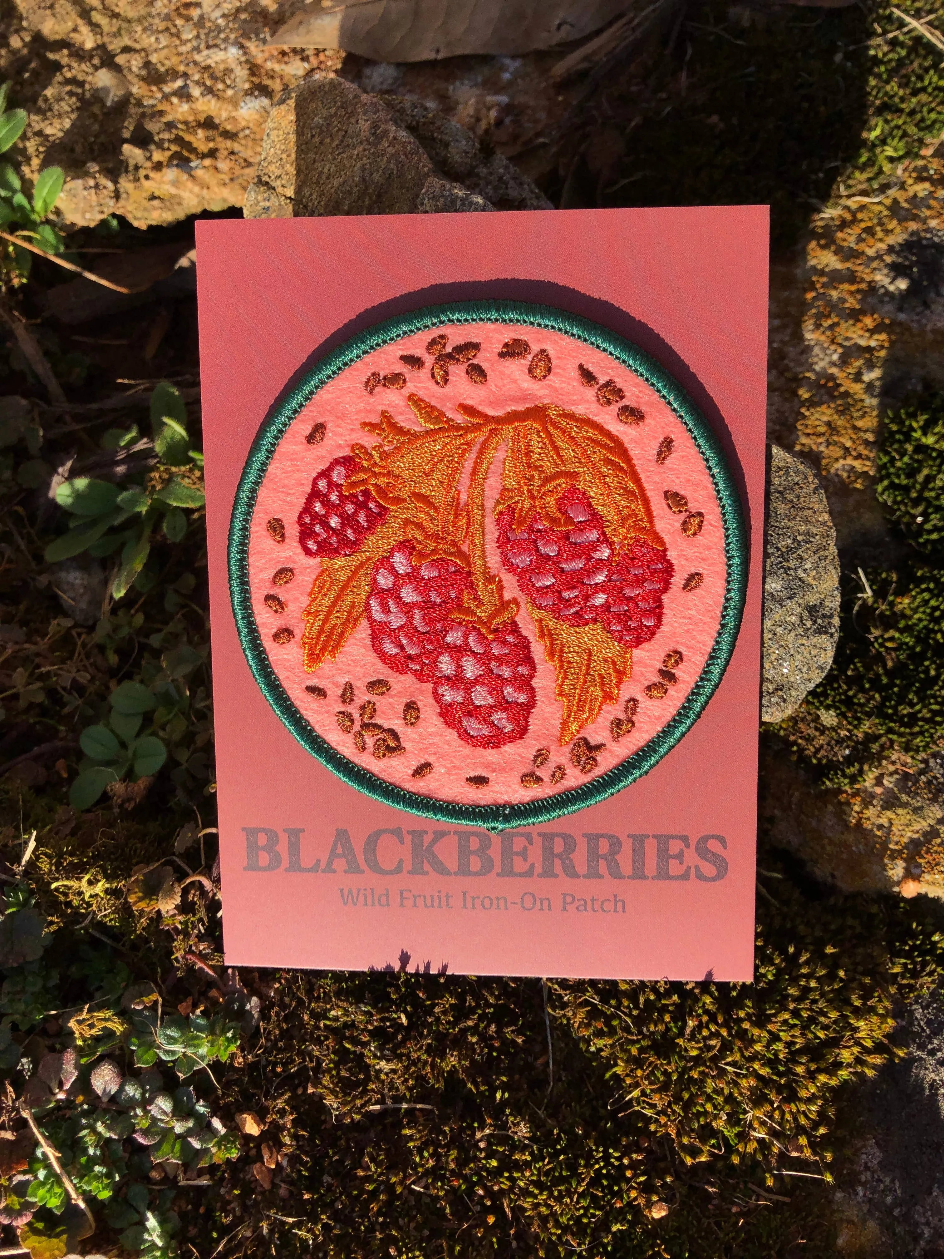 Blackberry Patch