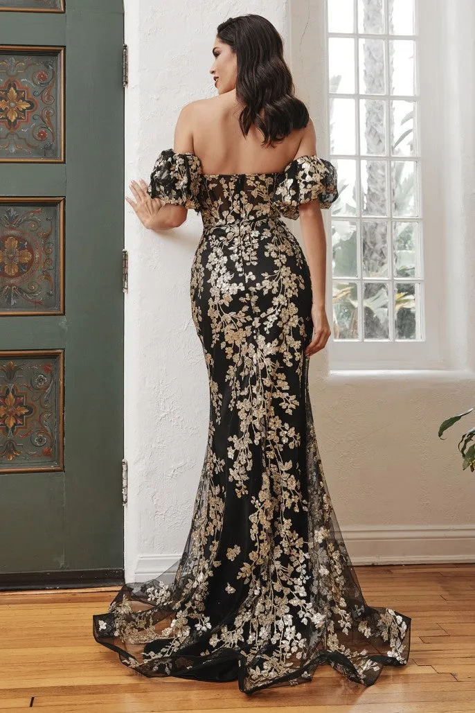 Cinderella Evening Dress J844