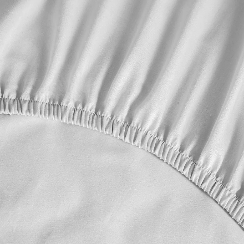 Dinosaur Sheet Collection