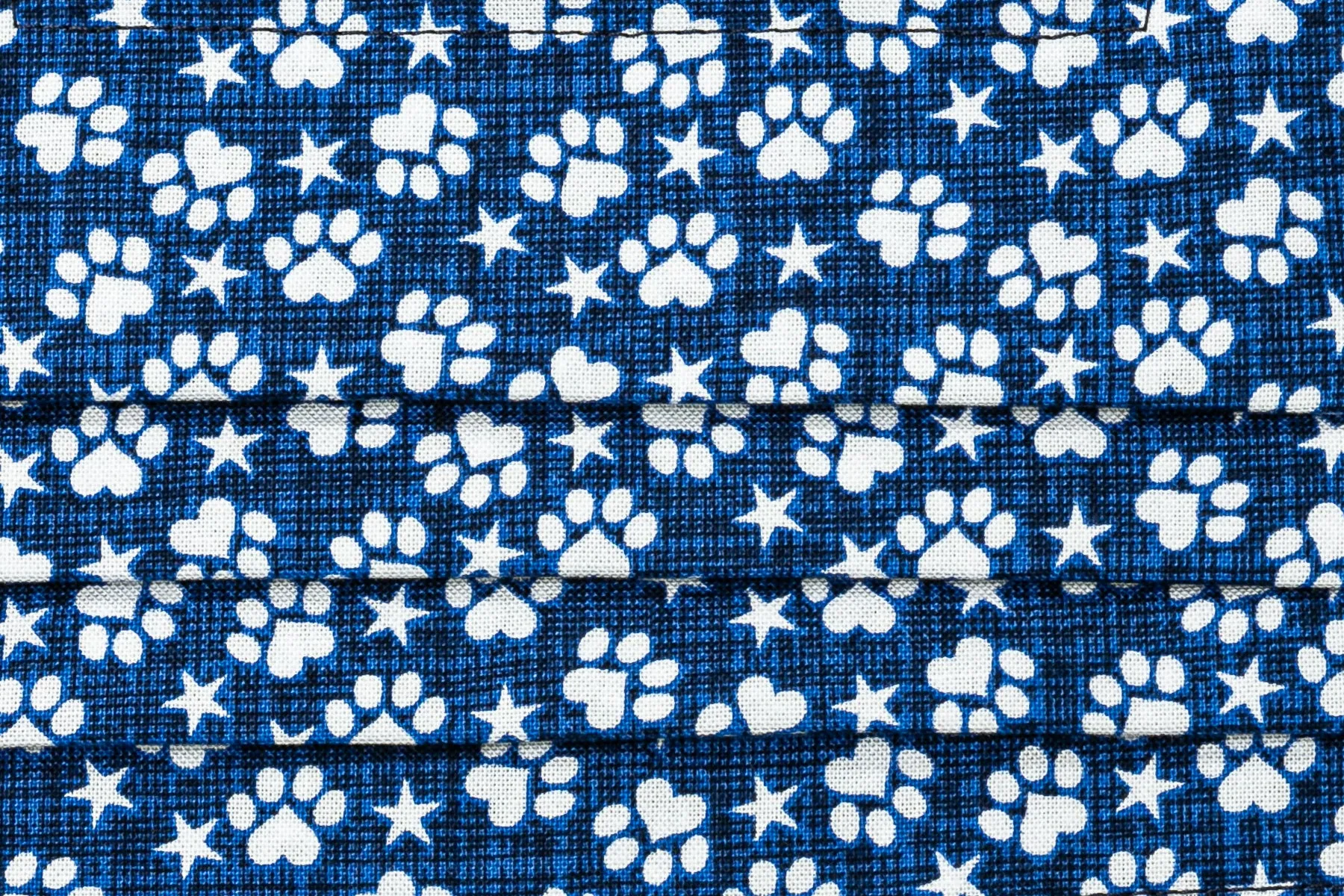 Dog Lovers #2 Cloth Face Masks (2-piece set)