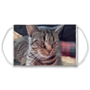 Face Mask Adjustable with Carbon Filter - Webby Tabby Cat