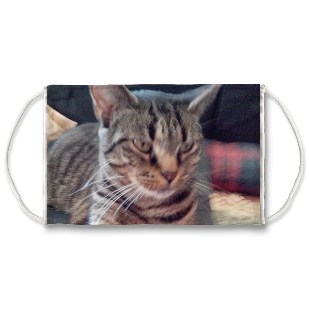 Face Mask Adjustable with Carbon Filter - Webby Tabby Cat
