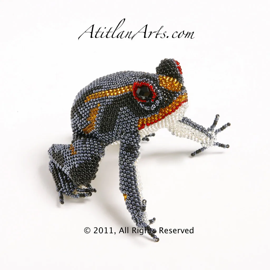 Gray, Black & Orange Frog Striped 03 [Frogs]