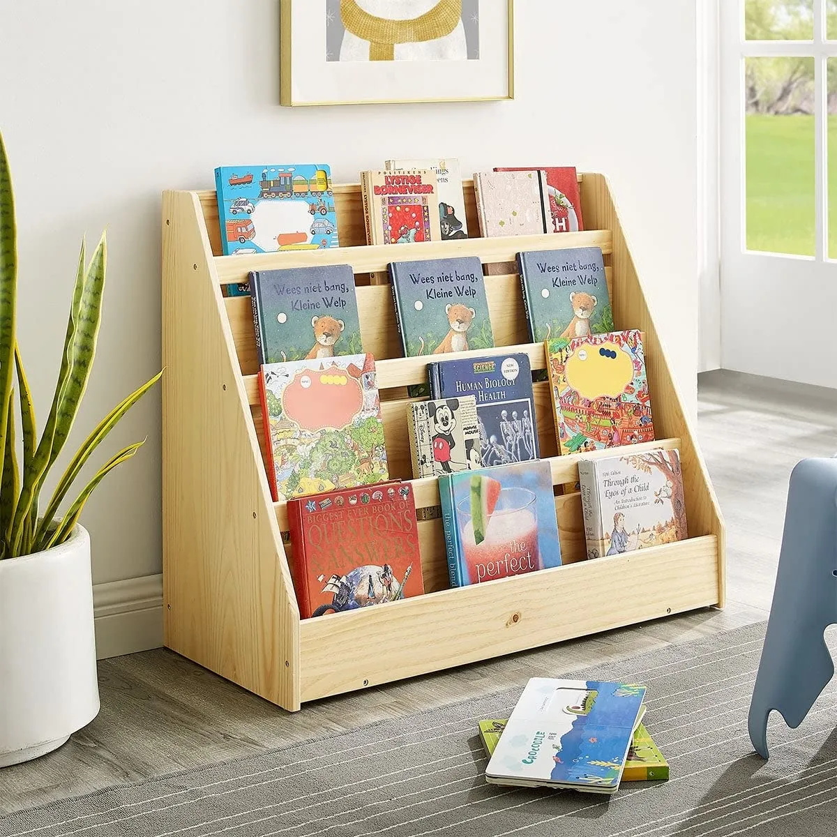 Pinewood Single-Sided case Display Stand for Kid Kids Storage