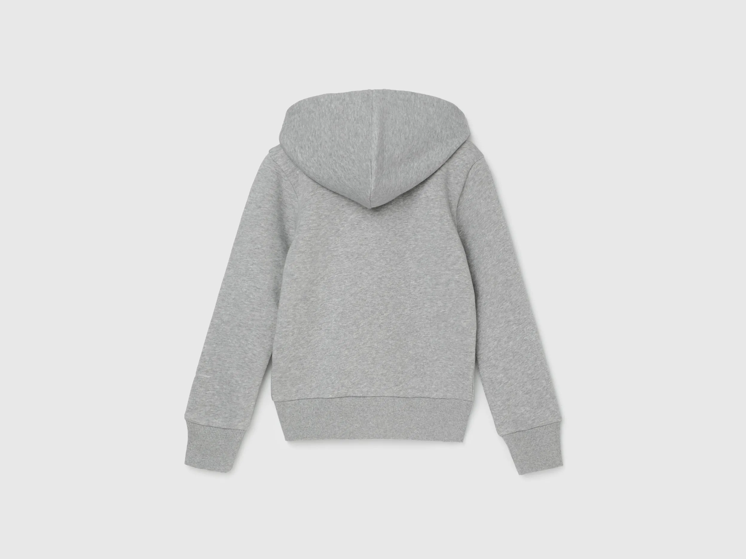Regular Fit Hooded Solid Sweatshirt