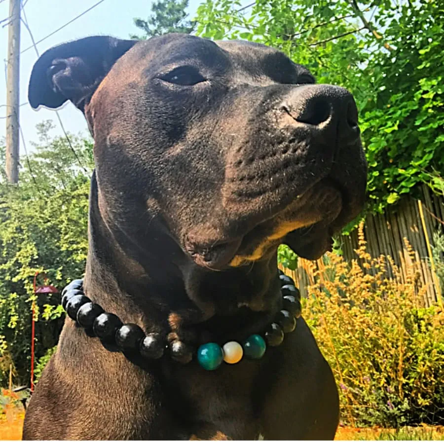 Tuxedo Bead Collar